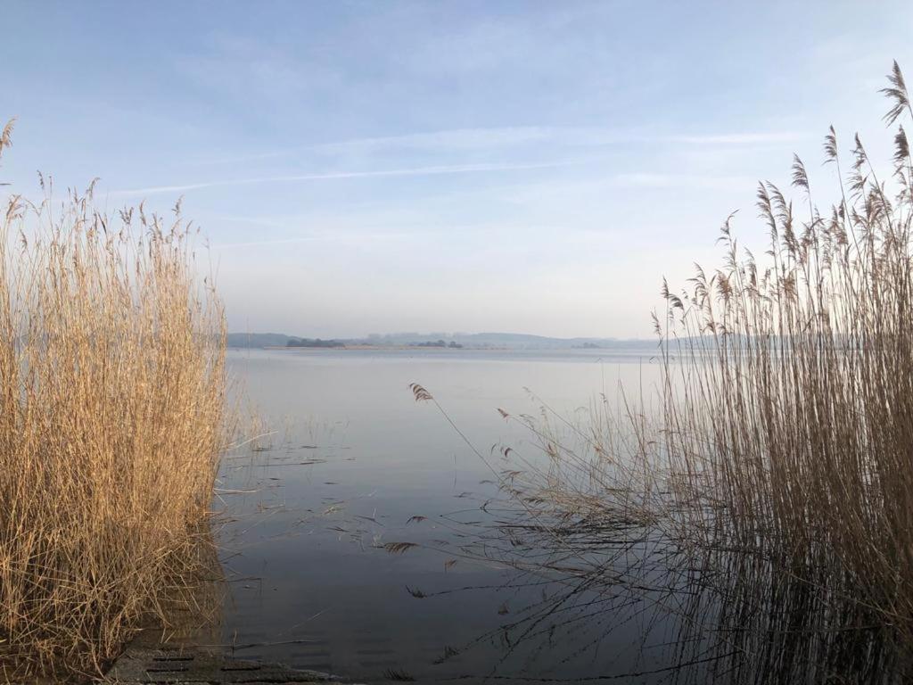 באלם Ferienwohnung Seeblick - Insel Usedom מראה חיצוני תמונה