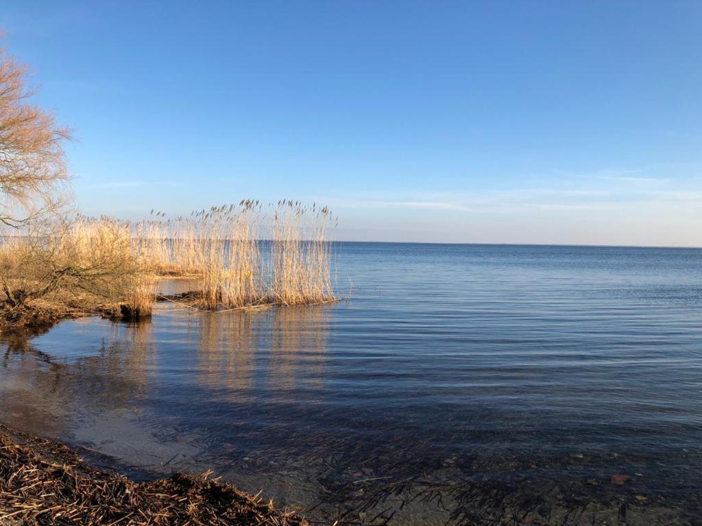 באלם Ferienwohnung Seeblick - Insel Usedom מראה חיצוני תמונה