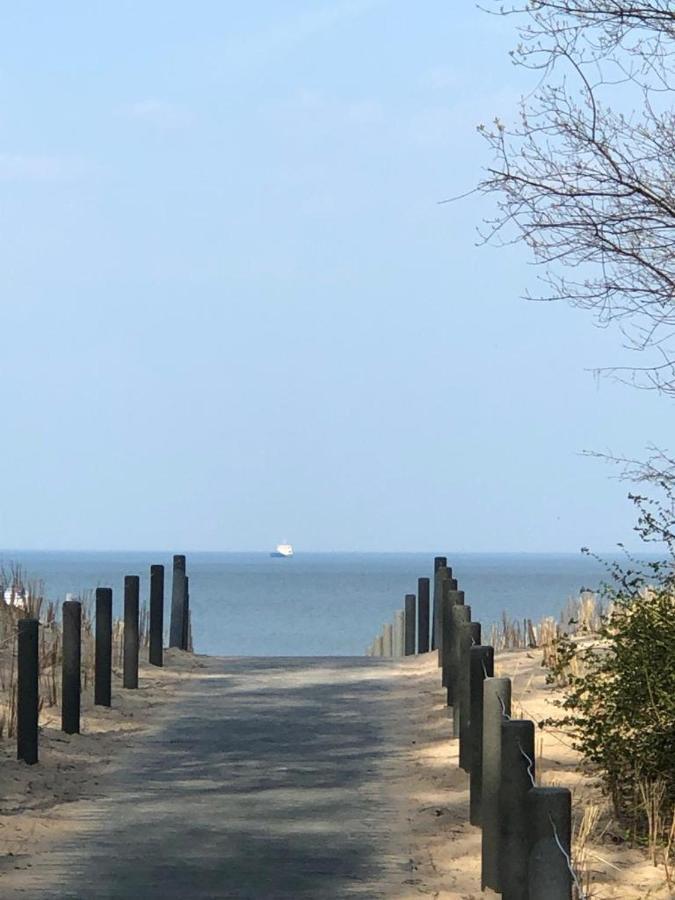 באלם Ferienwohnung Seeblick - Insel Usedom מראה חיצוני תמונה