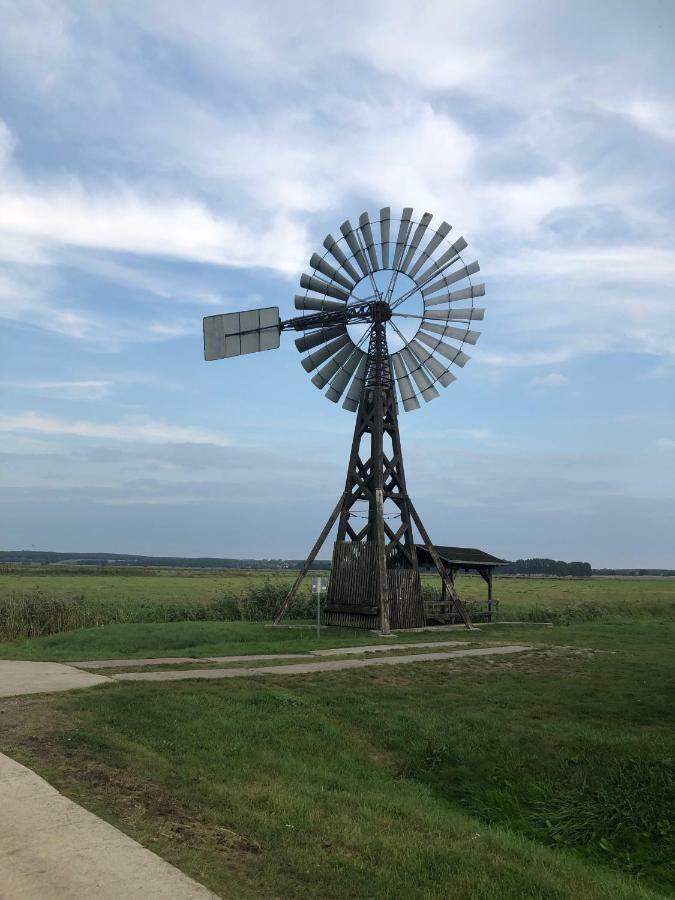 באלם Ferienwohnung Seeblick - Insel Usedom מראה חיצוני תמונה